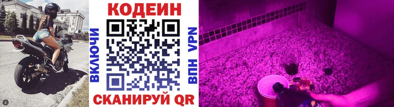 Купить где Макарьев Кодеиновый сироп Lean Purple Drank