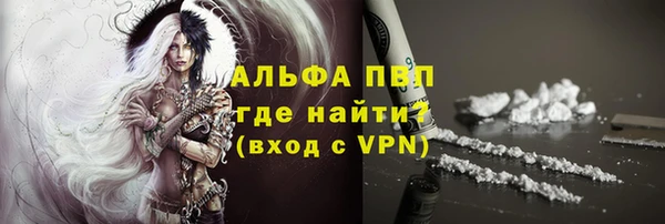 спайс Дмитриев