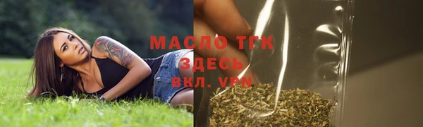спайс Дмитриев