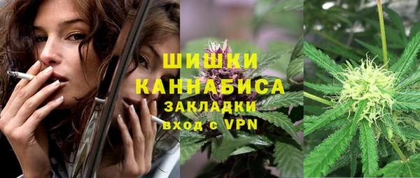 спайс Дмитриев