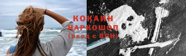 спайс Дмитриев